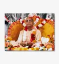 Srila Prabhupada in San Diego