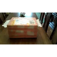 The Beautiful Bhagavatam, the beautiful Prabhupada