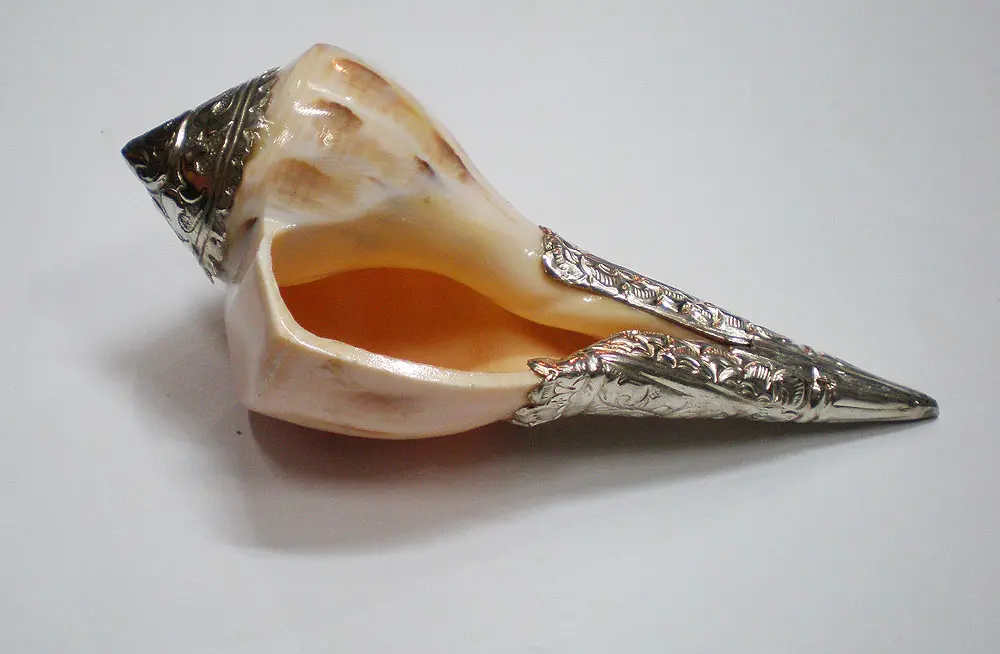 Lakshmi Bathing Conch Shell 6.5\" With \"German Silver\" Decoration