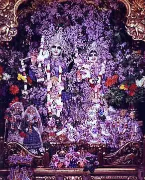 Radha-Krishna Deities with Purple Flowers (Purple)