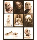 Srila Prabhupada Postcards (8 Cards)