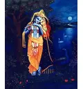 Radha Krishna at Night