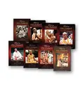 \"Following Srila Prabhupada\" Set to date, 9 DVDs