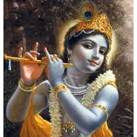 Awesome Items and Excellent Shipping Time