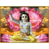 Thank you Krishna Store