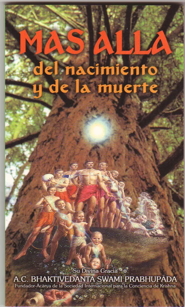 Mas Alla Del Nacimiento y de la Muerte