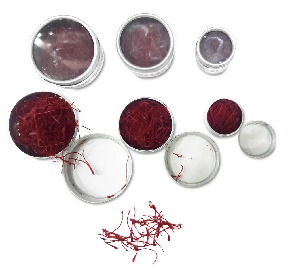 Saffron (Kesar) -- Exotic Indian Spice