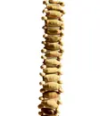 Tulsi Necklace