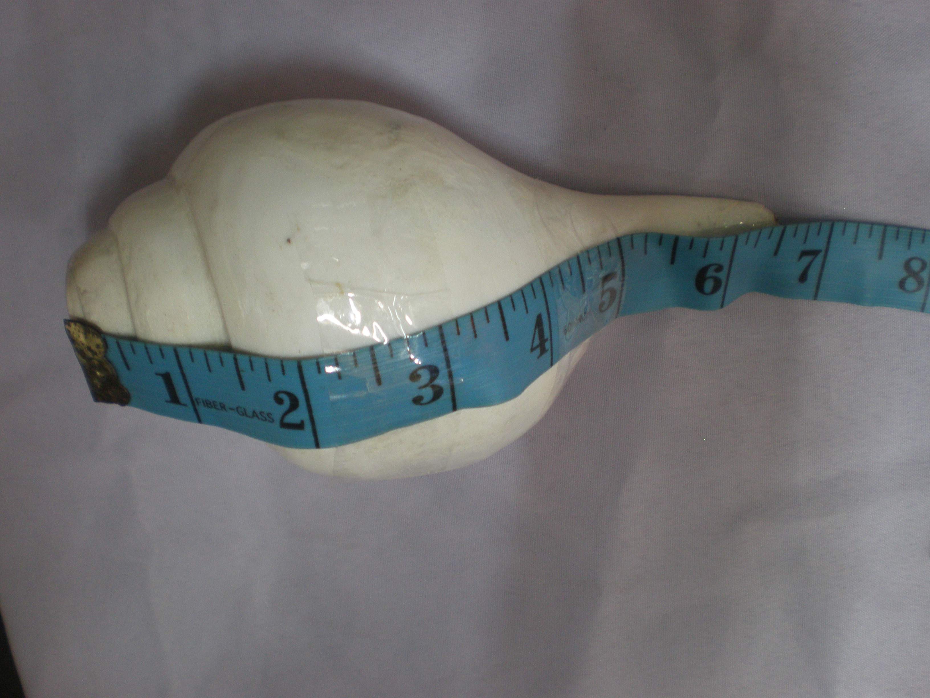 measuring a blowing conch